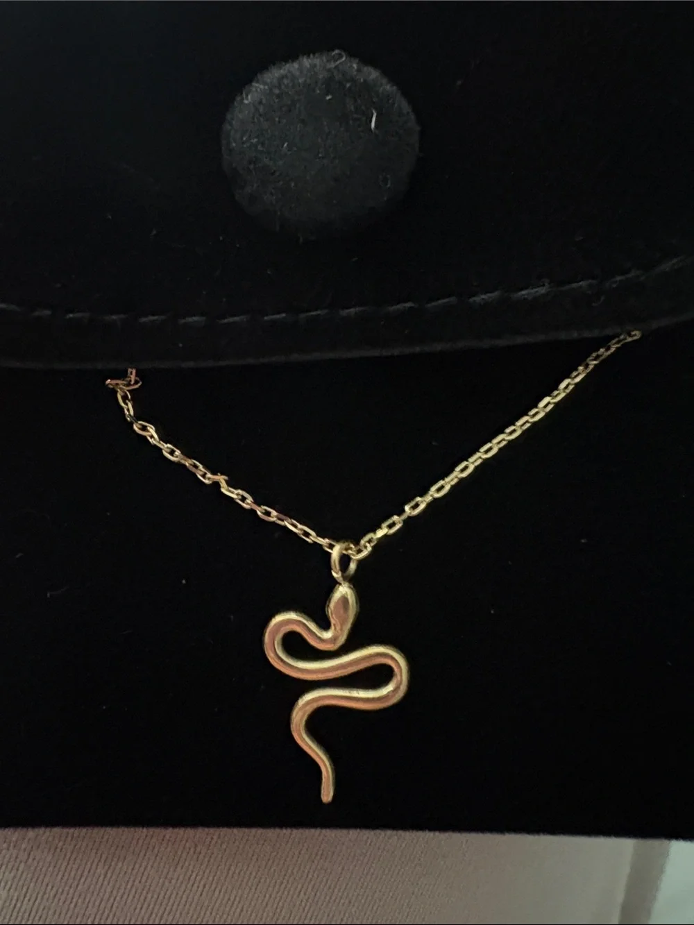 Plunder EXCLUSIVE Private Label Delphine Gold Snake Necklace 16-18” Cable Chain